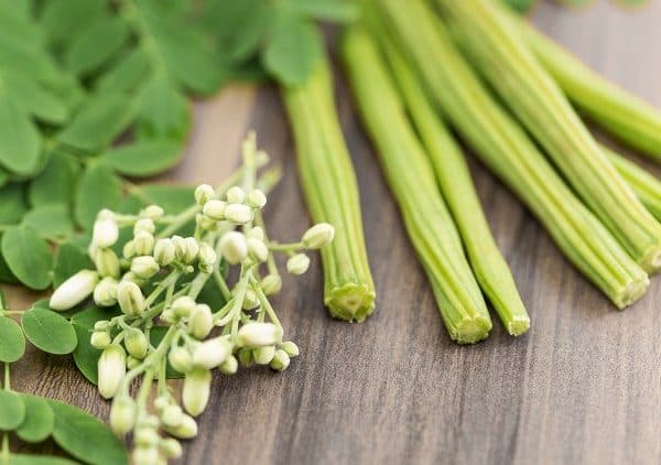 drumstick moringa to boost immunity system